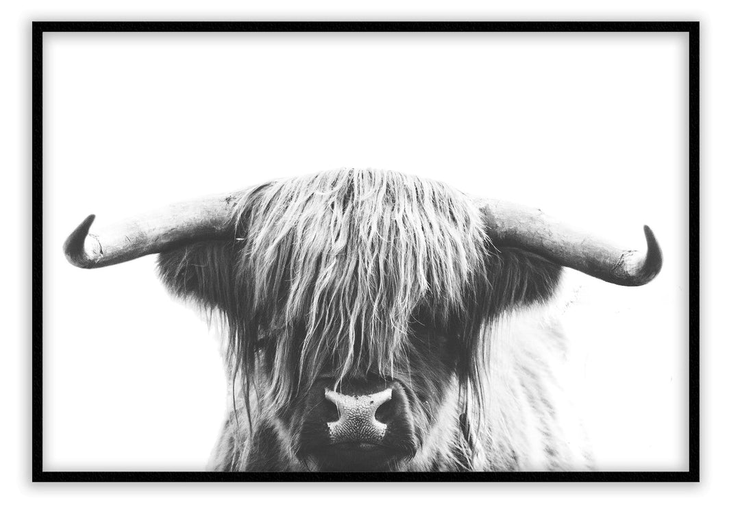 Canvas Print Small		50x70cm / Black Highlander Highlander Wall Art : Ready to hang framed artwork. Brand