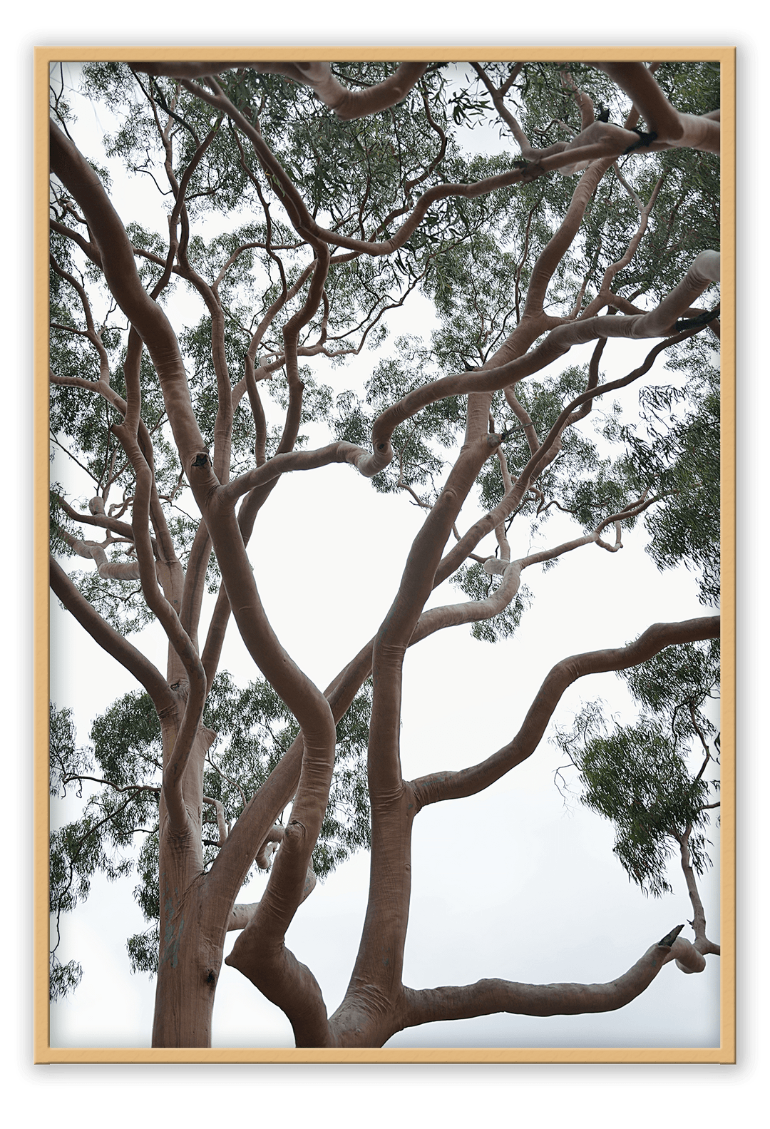 Canvas Print 50x70cm / Natural Tubos Brand